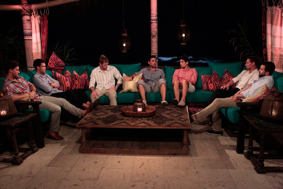 Bachelor in Paradise Bachelor in Paradise